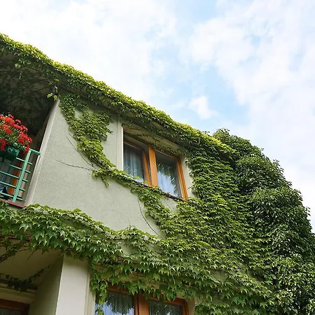 Auberge de jeunesse Zielony Domek *